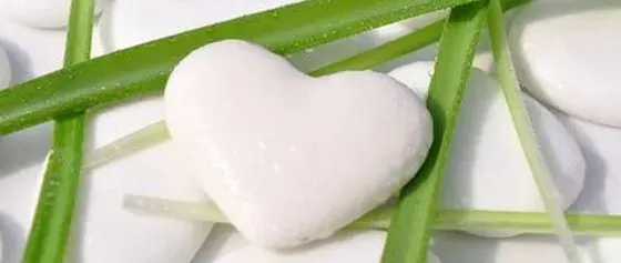 Nachhaltig heiraten: Ein grüner Faden durch eure Hochzeit, Bild 1