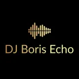 Logo DJ Boris Echo