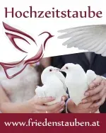 Logo Friedenstauben - Ingrid & Johann Hausknecht