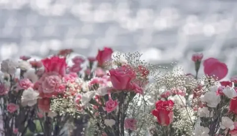 Günstig und trotzdem wunderschön: Blumen für eure Hochzeit, Bild 2