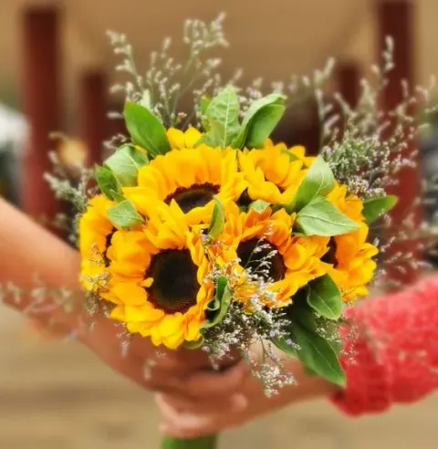 Günstig und trotzdem wunderschön: Blumen für eure Hochzeit, Bild 3