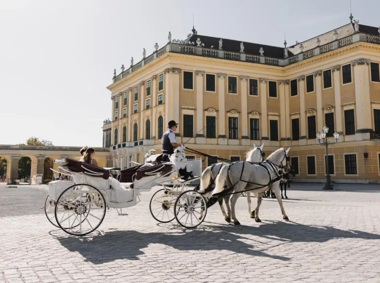 Schloss Schönbrunn, Bild 3