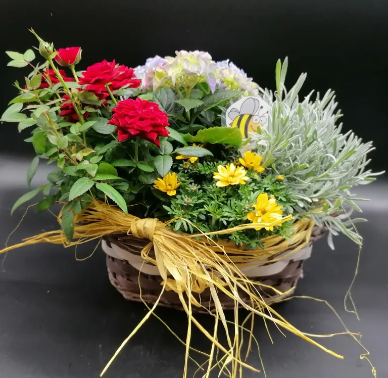 Blumenwerkstatt Rath, Bild 3