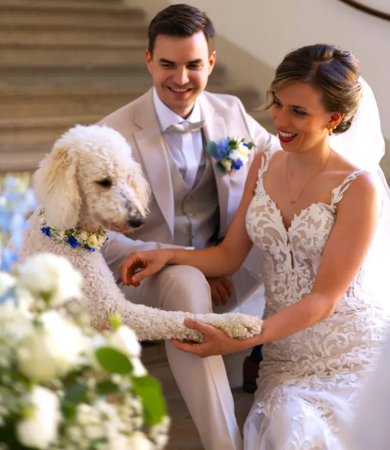 Steiner Exquisite Weddings, Bild 5